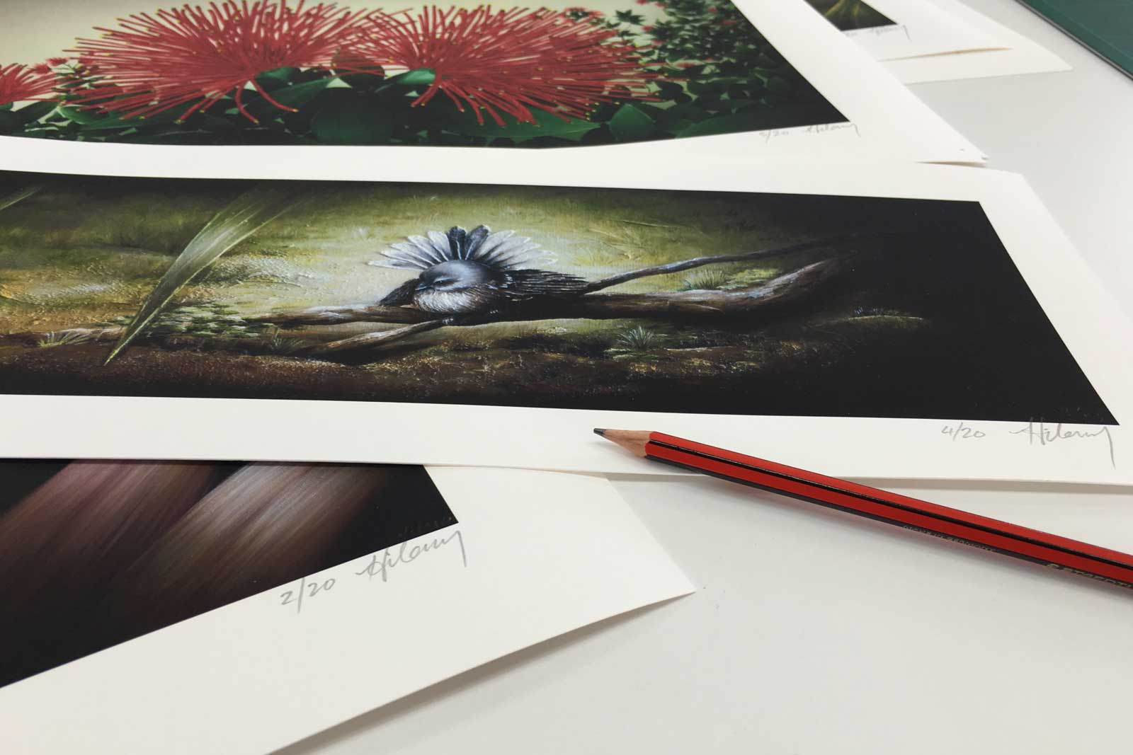 freehand design NZ Art Studio