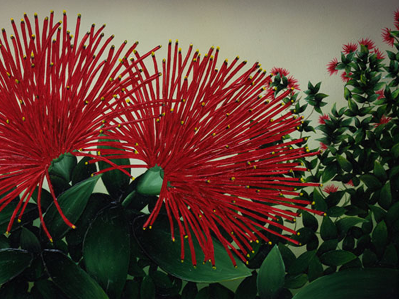 freehand design NZ Commissioned Artist