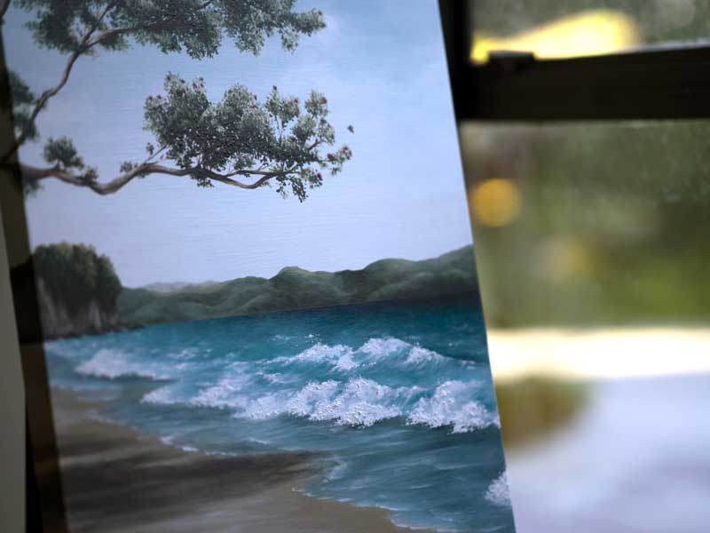 freehand design NZ Commissioned Artist