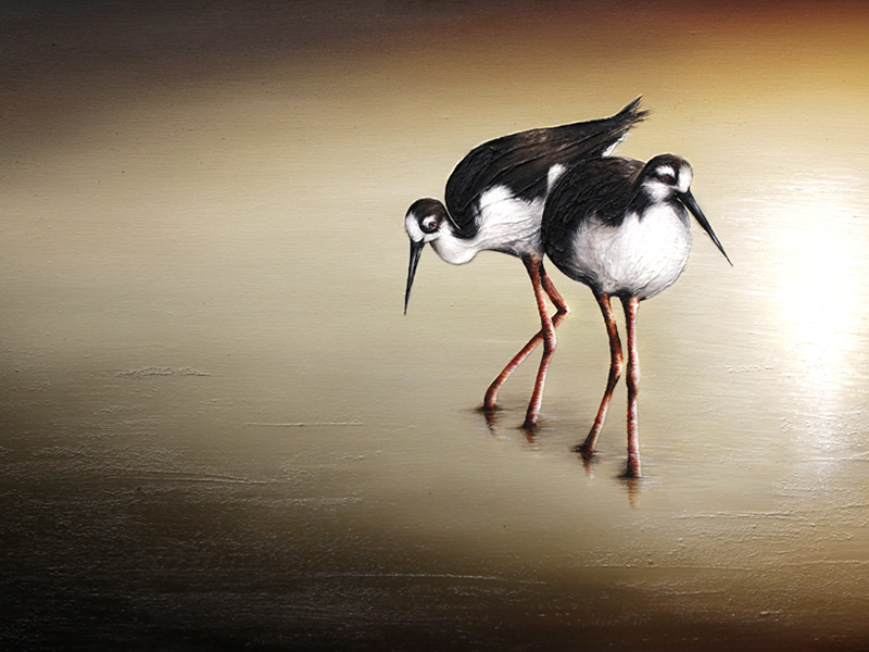 freehand design NZ Commissioned Artist