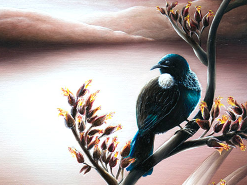 freehand design NZ Commissioned Artist