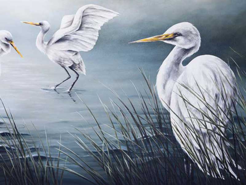 freehand design NZ Commissioned Artist