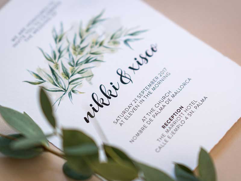 freehand NZ graphic design