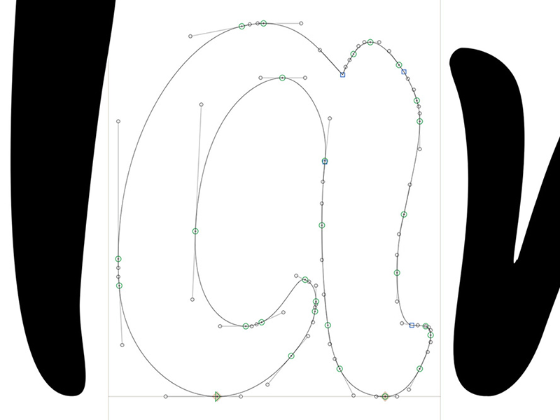 freehand NZ graphic design