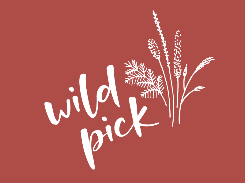 freehand NZ graphic design