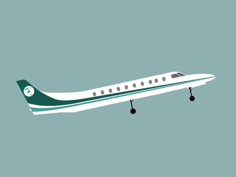 freehand NZ Illustration