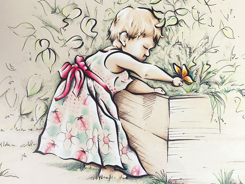 freehand NZ Illustration