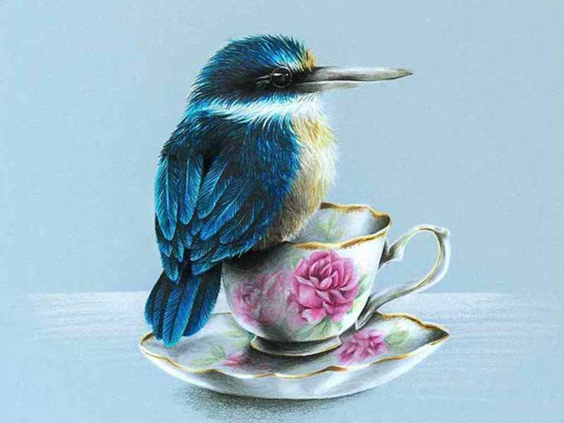 freehand NZ Illustration