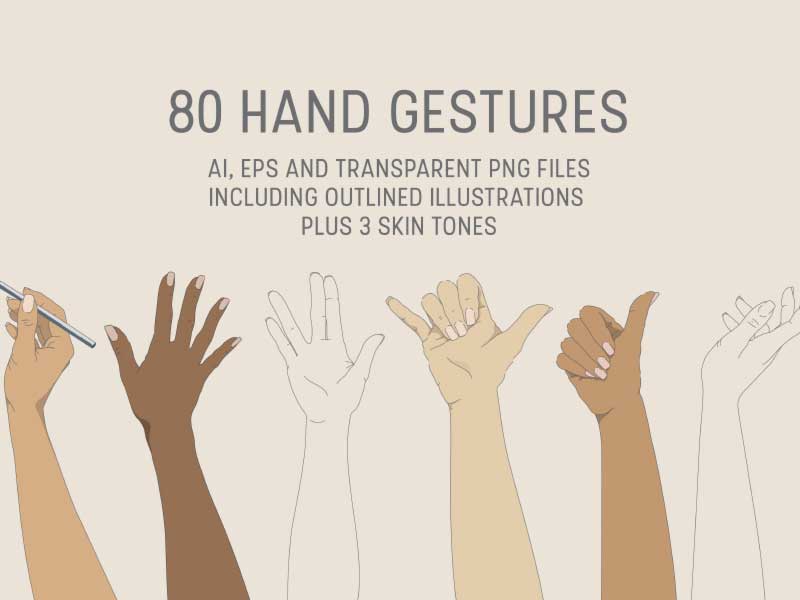 freehand NZ Illustration