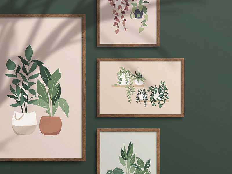 freehand NZ Illustration