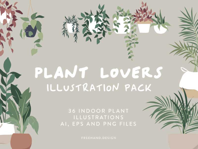 freehand NZ Illustration