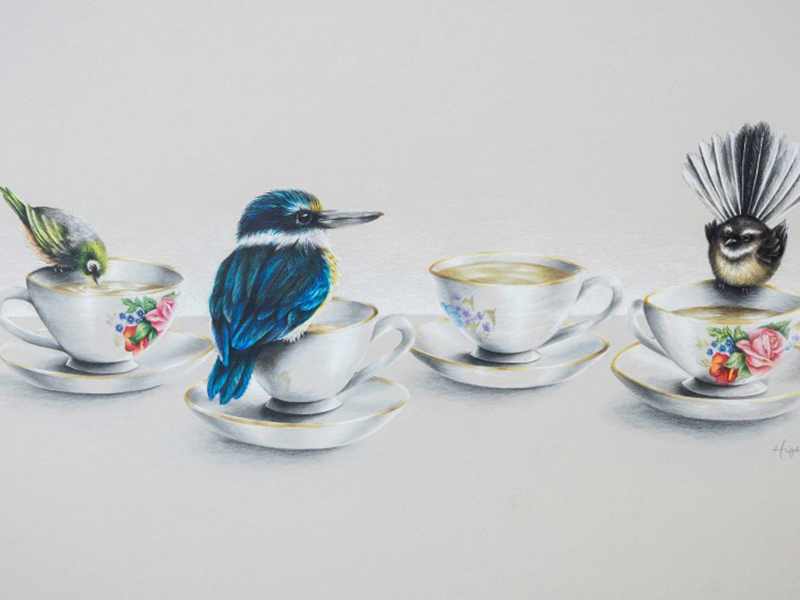 freehand NZ Illustration